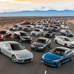 Корневая категория Корневая категория